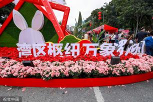 深圳迎春花市开幕 花香带出浓浓“烟火气”