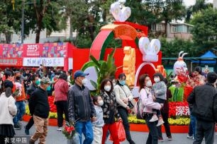 深圳迎春花市开幕 花香带出浓浓“烟火气”