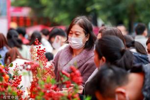 深圳迎春花市开幕 花香带出浓浓“烟火气”