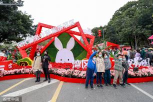 深圳迎春花市开幕 花香带出浓浓“烟火气”