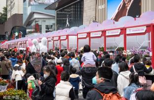 深圳迎春花市开幕 花香带出浓浓“烟火气”