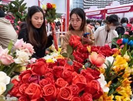 深圳迎春花市开幕 花香带出浓浓“烟火气”
