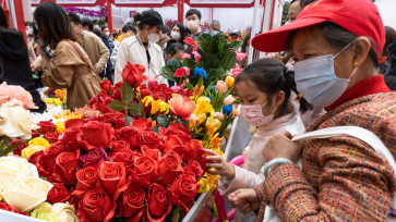 深圳迎春花市开幕 花香带出浓浓“烟火气”