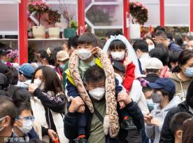 深圳迎春花市开幕 花香带出浓浓“烟火气”