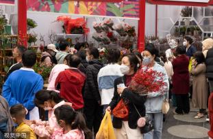 深圳迎春花市开幕 花香带出浓浓“烟火气”