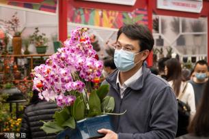 深圳迎春花市开幕 花香带出浓浓“烟火气”