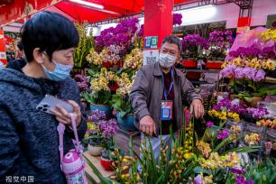 广州越秀西湖花市重启 灯光如昼人如织