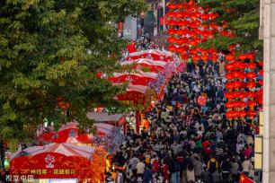 广州越秀西湖花市重启 灯光如昼人如织