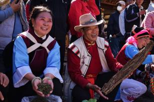 喜迎兔年 云南丽江展演少数民族传统生活风貌情境