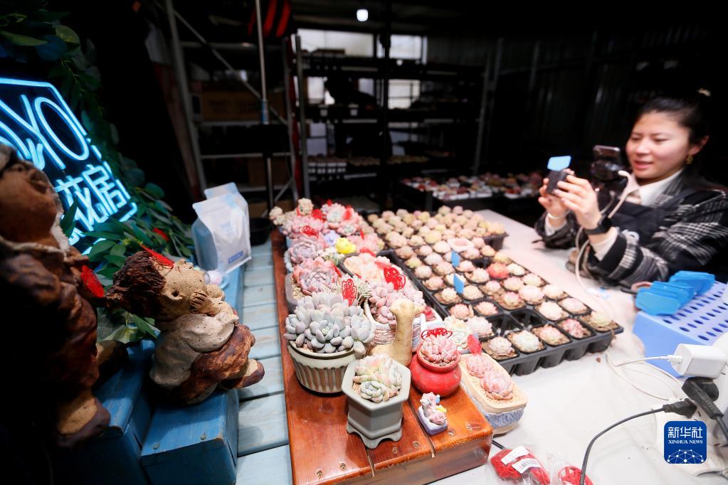 山东即墨：“多肉经济”产销两旺