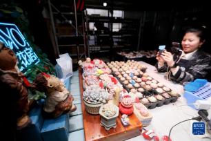 山东即墨：“多肉经济”产销两旺