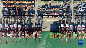 山东港口青岛港：大干迎新春 力夺“开门红”