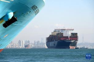 山东港口青岛港：大干迎新春 力夺“开门红”