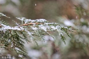 北京迎来降雪天气 颐和园琼楼玉宇分外静谧