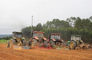 广西上思：不误农时不负春 甘蔗耕种进行时