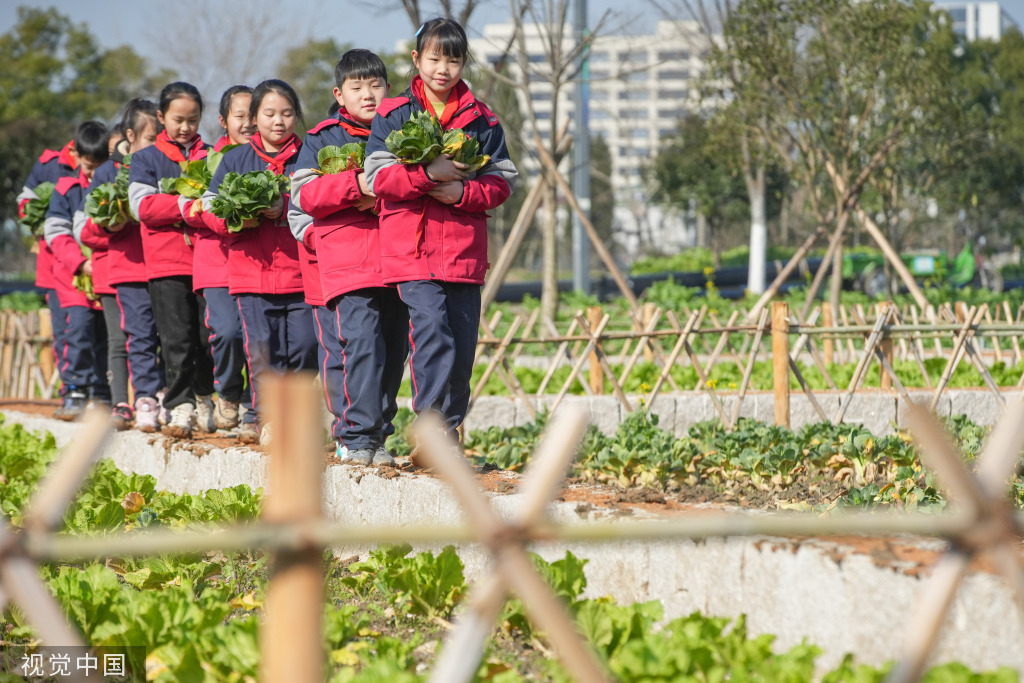 浙江湖州：学生体验蔬菜栽种特色课程