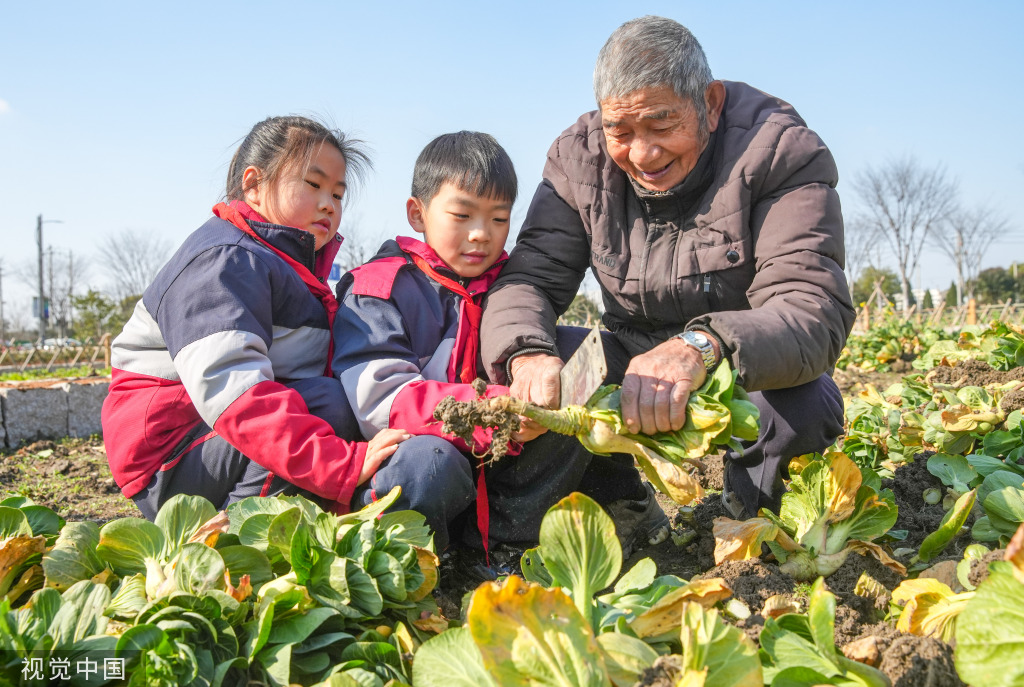 浙江湖州：学生体验蔬菜栽种特色课程