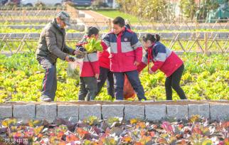 浙江湖州：学生体验蔬菜栽种特色课程