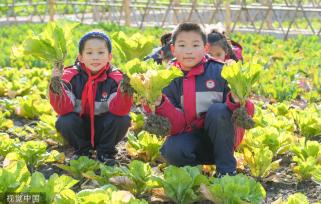 浙江湖州：学生体验蔬菜栽种特色课程