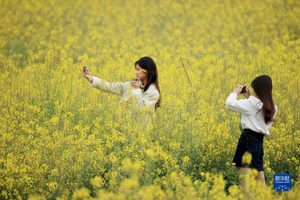 花开春意浓