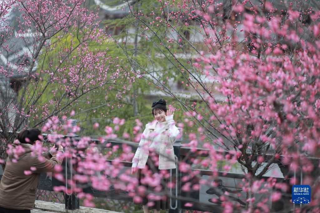 花开春意浓