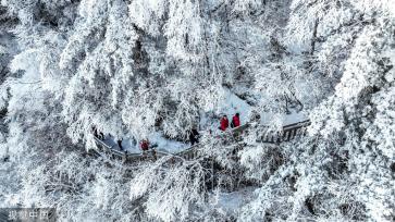 湖北神农架：初春景区现洁白雾凇