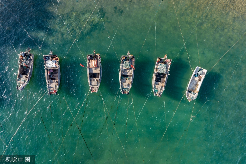 青岛：受春季海风影响 渔船渔港停泊避风