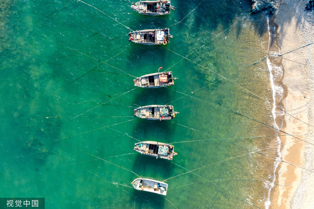 青岛：受春季海风影响 渔船渔港停泊避风