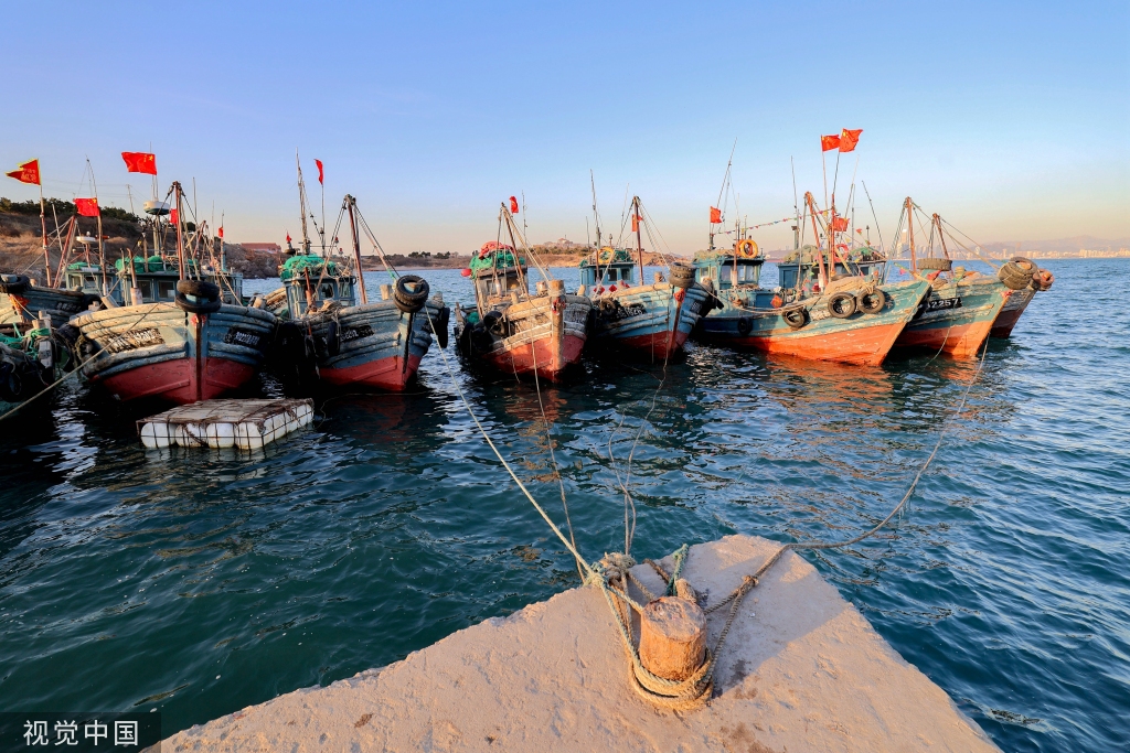 青岛：受春季海风影响 渔船渔港停泊避风