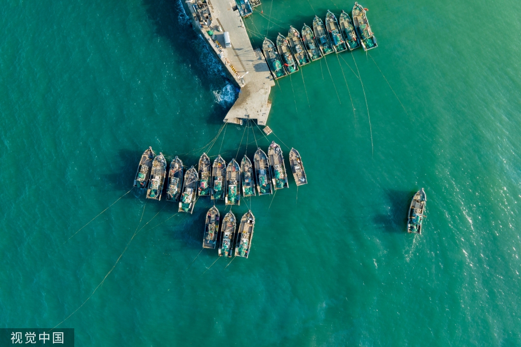 青岛：受春季海风影响 渔船渔港停泊避风