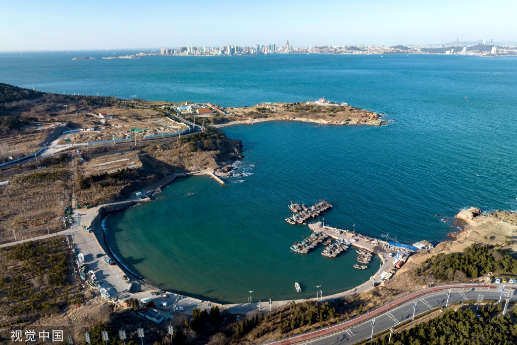 青岛：受春季海风影响 渔船渔港停泊避风