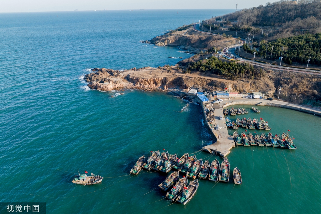 青岛：受春季海风影响 渔船渔港停泊避风