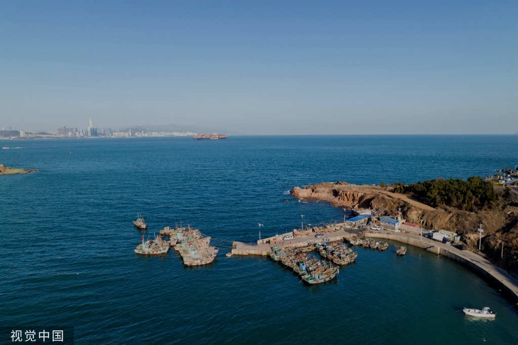 青岛：受春季海风影响 渔船渔港停泊避风