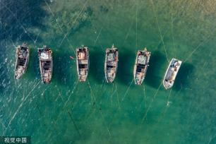 青岛：受春季海风影响 渔船渔港停泊避风