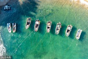 青岛：受春季海风影响 渔船渔港停泊避风