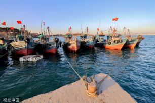 青岛：受春季海风影响 渔船渔港停泊避风