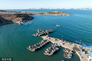 青岛：受春季海风影响 渔船渔港停泊避风