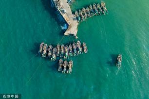 青岛：受春季海风影响 渔船渔港停泊避风