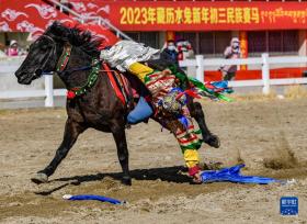 西藏拉萨：马背上迎新年