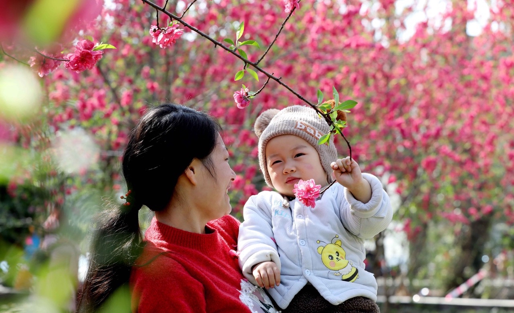 
东部战区总医院黄牛代挂号电话票贩子号贩子网上预约挂号,住院检查加快,柳州举办桃花节活动 吸引众多游客赏花拍照