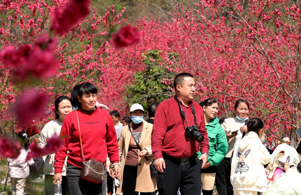 
东部战区总医院黄牛代挂号电话票贩子号贩子网上预约挂号,住院检查加快,柳州举办桃花节活动 吸引众多游客赏花拍照