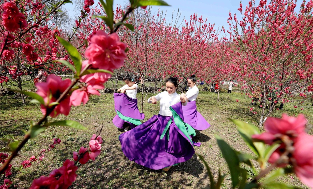 
东部战区总医院黄牛代挂号电话票贩子号贩子网上预约挂号,住院检查加快,柳州举办桃花节活动 吸引众多游客赏花拍照