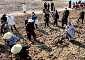 安徽亳州举办“开圃节” 弘扬中医药文化