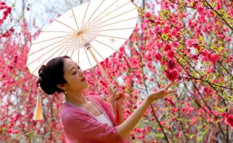 柳州举办桃花节活动 吸引众多游客赏花拍照