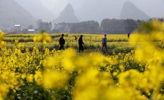 柳州举办桃花节活动 吸引众多游客赏花拍照