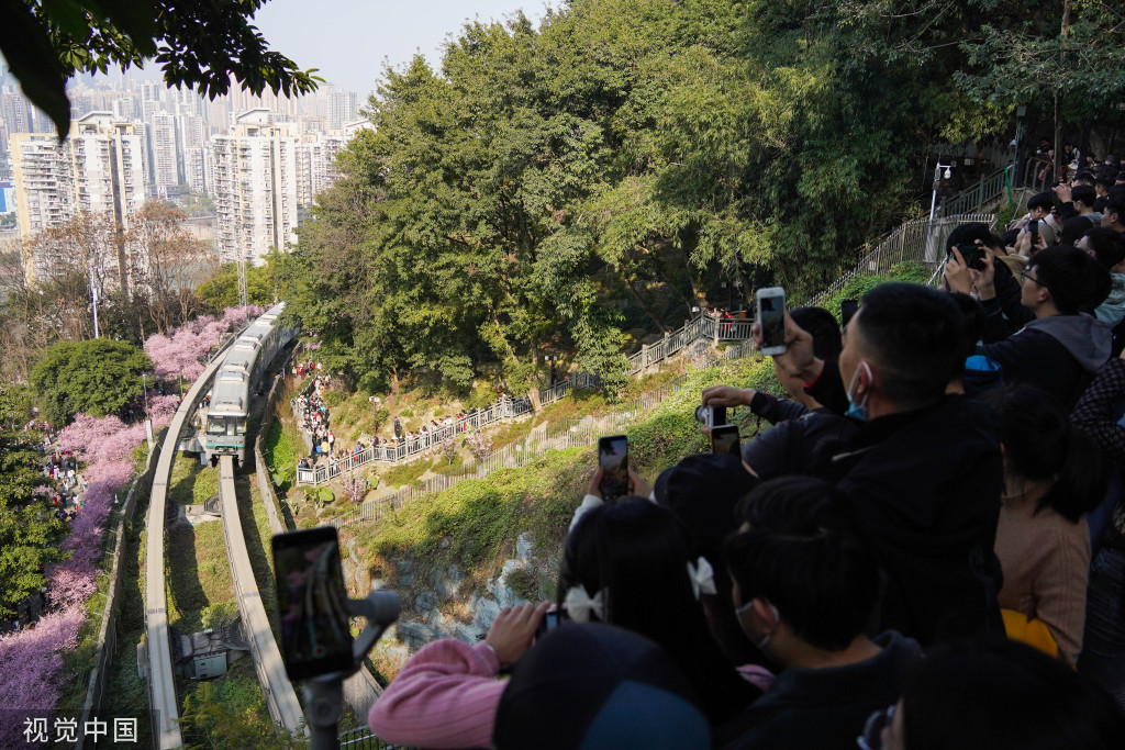 
浙江省中医院黄牛代挂号电话票贩子号贩子网上预约挂号,住院检查加快,重庆：“开往春天的列车”穿行大面积美人梅