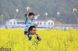 湖南衡阳：乡村举行油菜花节 游客赏金黄花海
