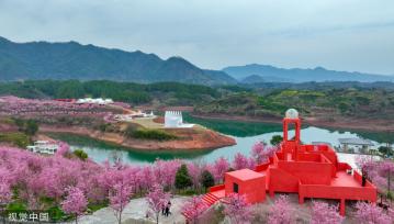 浙江淳安粉色樱花海与金黄油菜花隔湖“对望”