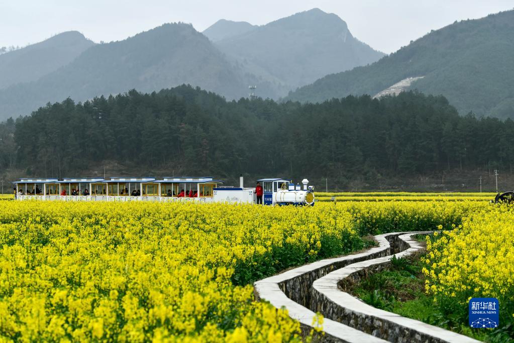 贵州贵定：“农旅融合”助力乡村振兴