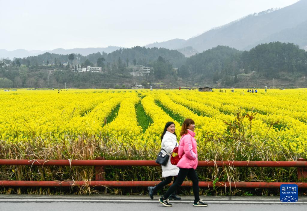 贵州贵定：“农旅融合”助力乡村振兴